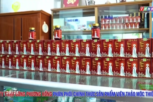 Đài truyền hình Hà Nam nhắc nhiều về tác dụng của Viên Thảo Mộc Thiên Việt An